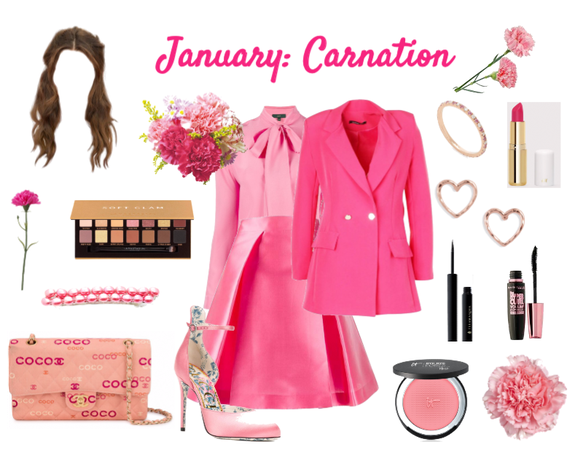 January: Carnation