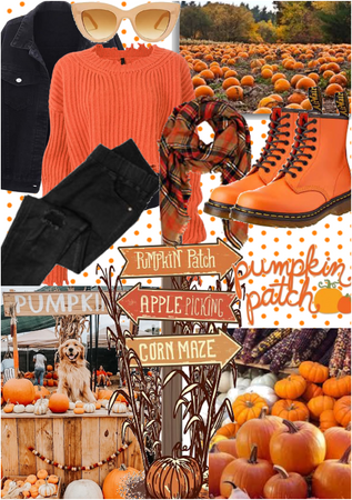 pumpkin stroll