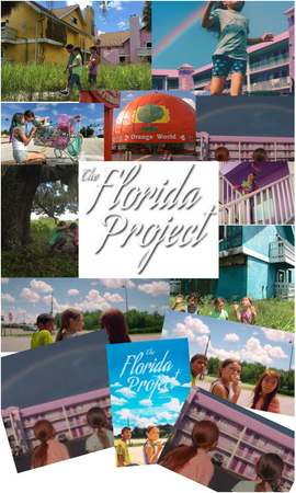 the Florida project