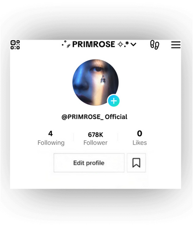 ·˚ ༘ PRIMROSE ✧.*:  - Official Tik Tok account