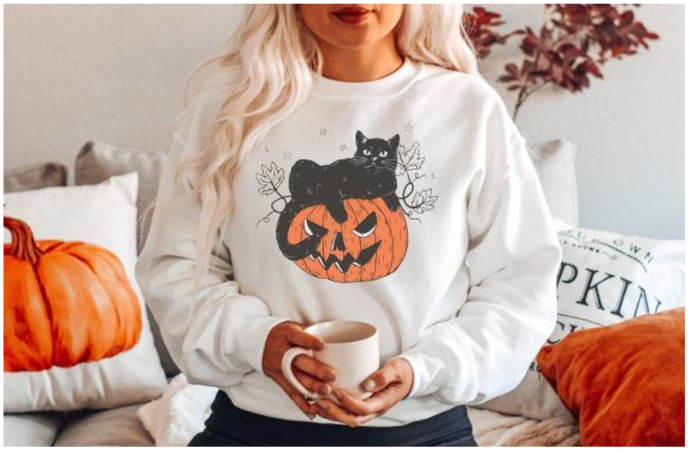Black Cat on Pumpkin Sweatshirt and Hoodie