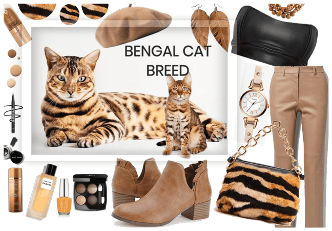 Bengal cat breed