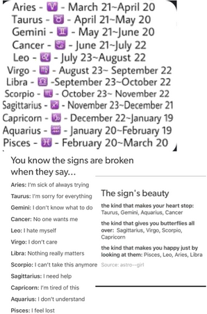about the zodiac signs