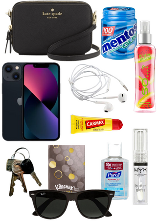 what to put in your purse