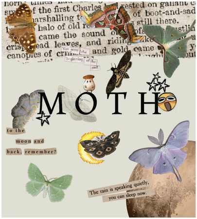 I really like moths 🌿