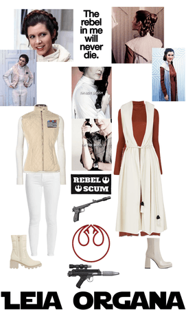 Princess Leia Organa | 1 character, 2 outfits