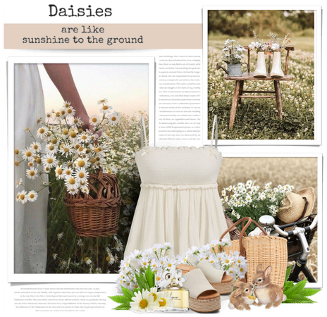 April flowers: Daisies