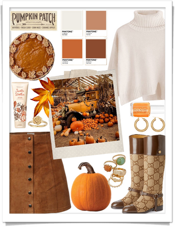 pumpkin patch 🎃