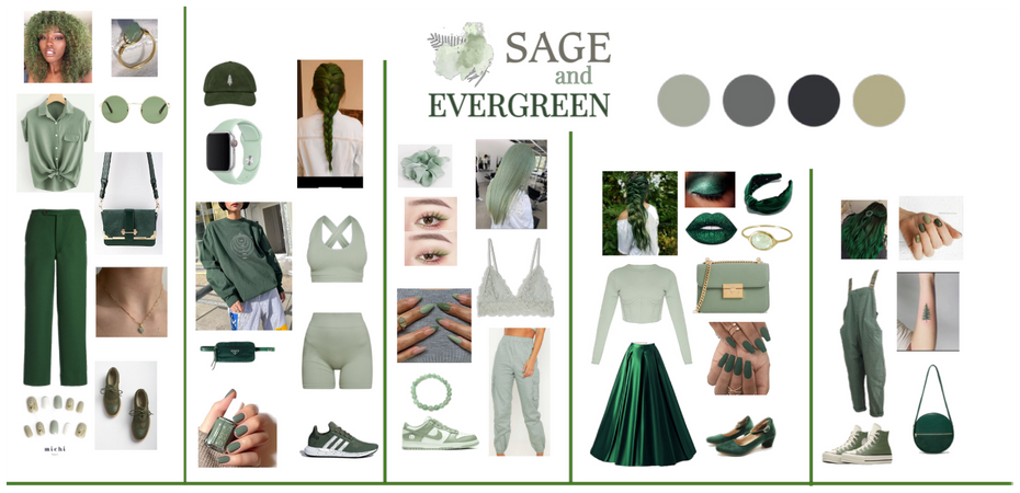 Sage and Evergreen