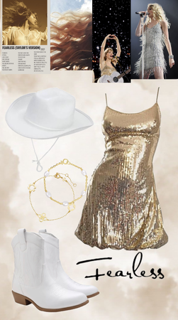 fearless Taylor Swift Eras Tour Outfit
