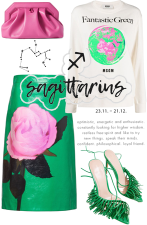 Sagittarius Season ♐️