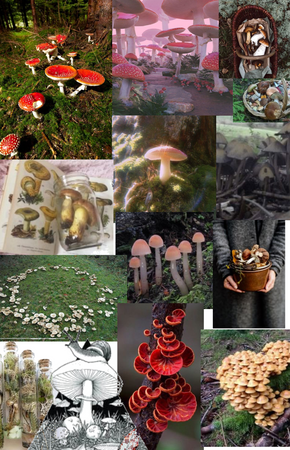 mushroom aesthetic