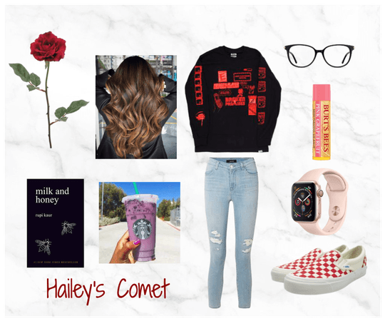 Hailey's Comet