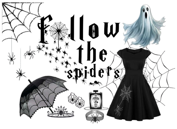 Folllow The Spider Web