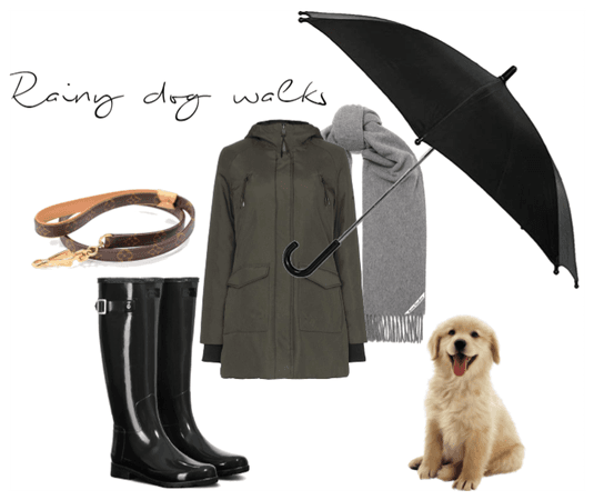 rainy dog walks