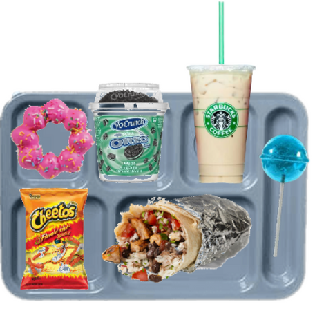 schools lunch