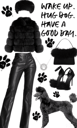 poodle inspired