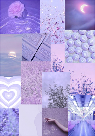 Lavender Moodboard