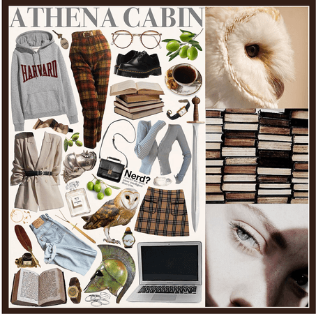 ATHENA CABIN