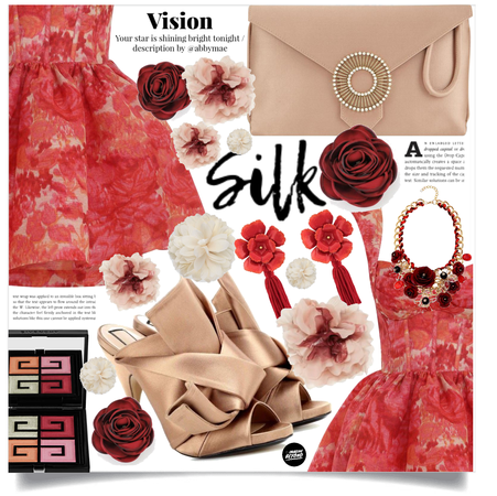 vision in silk