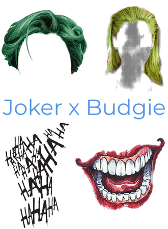 Joker x Budgie.Hairdresser is me!