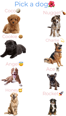 pick a dog 🐶 🌸
