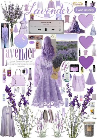 Lavender Haze & Dreams