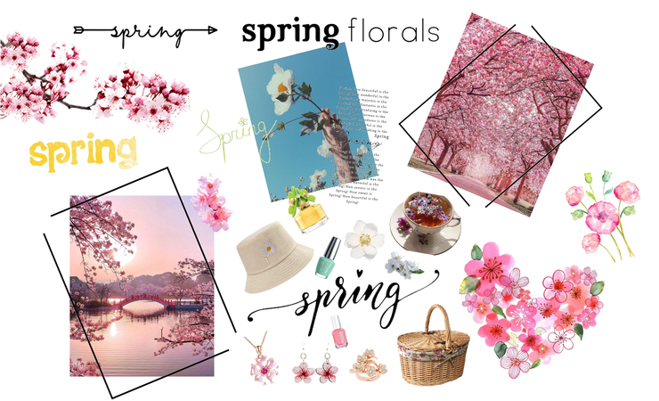 spring flowers 🌸