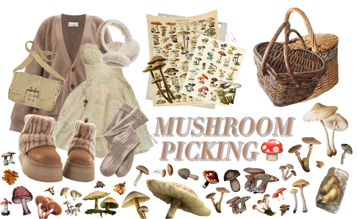 Mushroom Picking 🍄✨