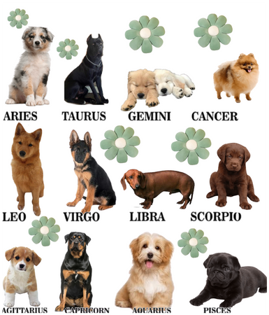 Dog signs for zodiac