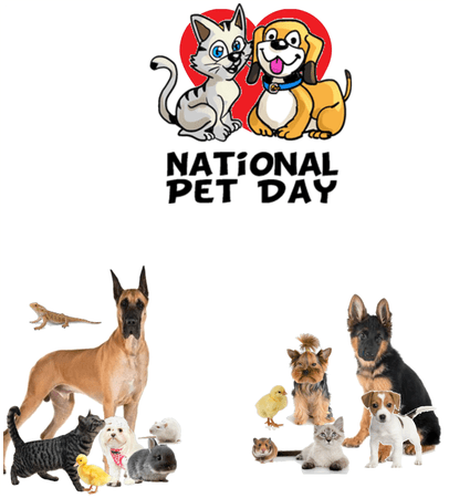 The National pet day