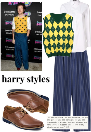 Harry Styles Inspired Outfit
