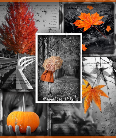 Autumn Colorsplash