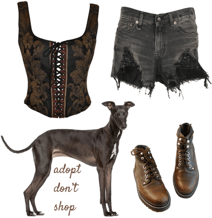 sighthound summer