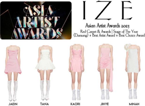 Asian Artist Awards | Red Carpet Look & Awards