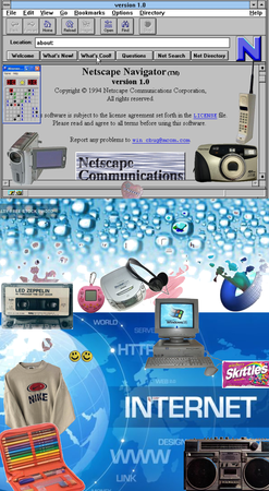 Netscape Reality