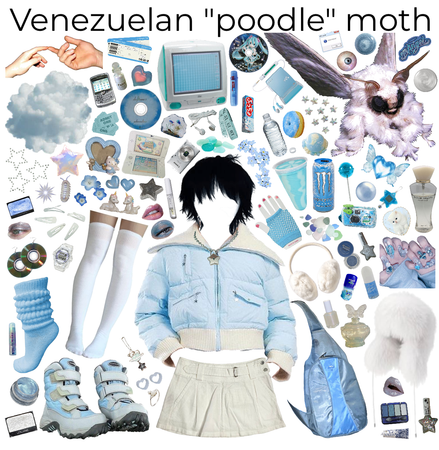 Venezuelan "Poodle" Moth