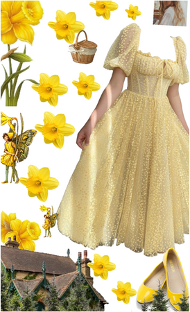 wonderful Daffodils