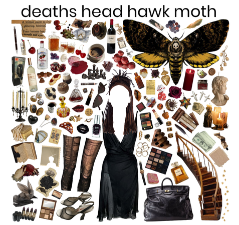 death's head hawk moth