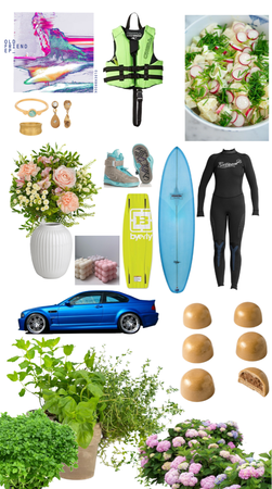 garden, food, flowers, chokolade, cars, surf, jewlry