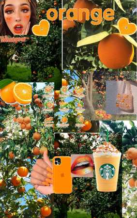 Orange collage 🧡🍊🧡🍊🧡