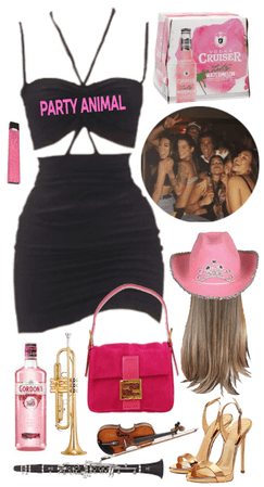 outfit 219  |  🥂  |  party animal