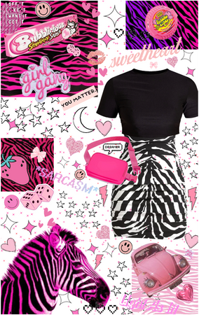 Hot Pink Zebra Party! 🎉
