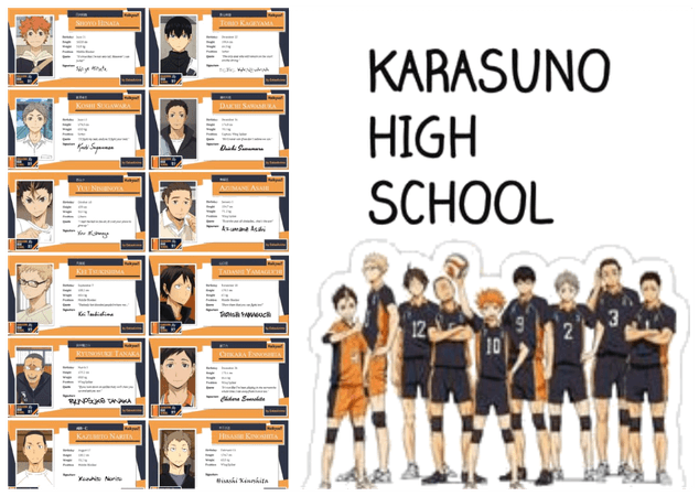 Karasuno High school volleyball team :)