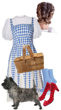 Dorothy isn’t in Kansas A ymore