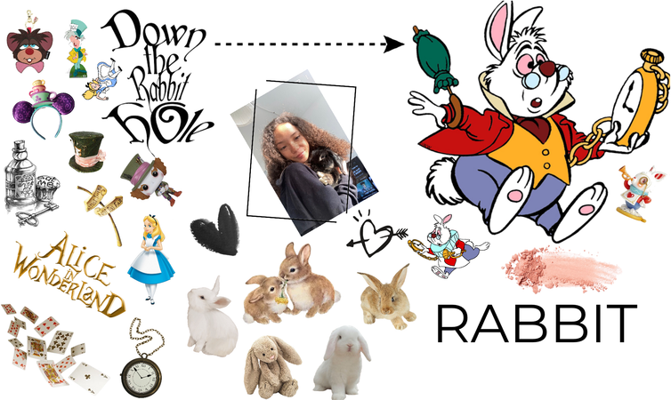 Rabbit/bunny