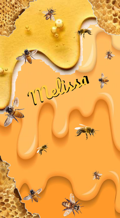 Name Meaning... Melissa=Bee