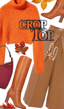 Fall crop top ootd