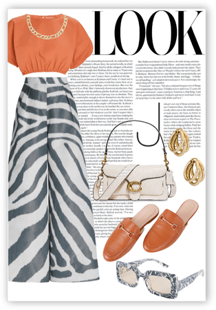 Zebra + Orange 🧡