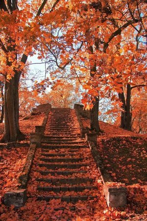 fall aesthetic
